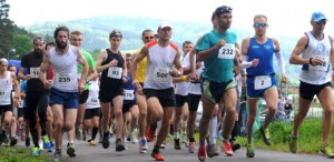 półmaraton Jedlina 2015